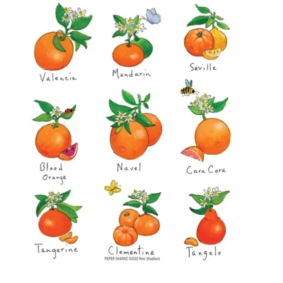 Cooking Apron with Oranges - Picture 2 of 5